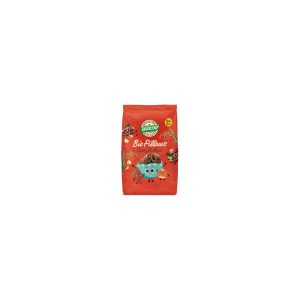 Cereales rellenos de choco avellanas sin gluten Bio 300 g Biocop