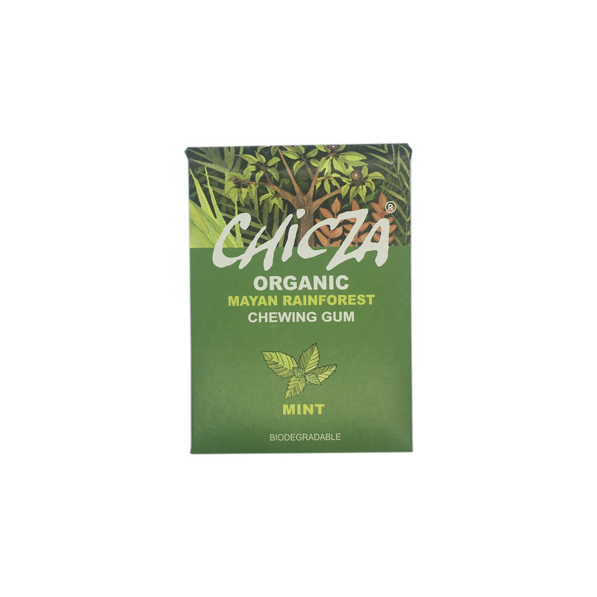 Chicles de sabor menta bio 30g Chicza