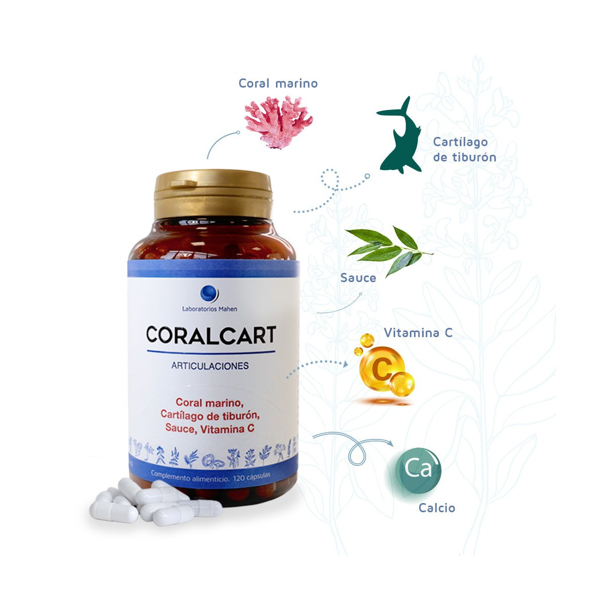 Coralcart (articulaciones) 120 capsulas Mahen