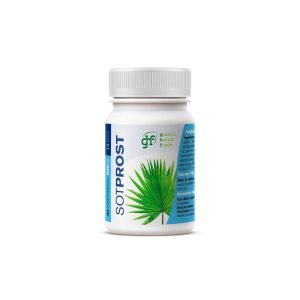 Sot prost 600mg 80 comprimidos GHF