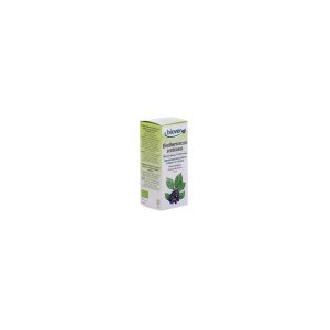 Tintura Eleuterococo-Eleutherococcus senticosus Bio 50ml Biover
